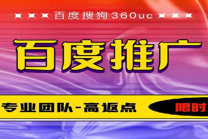百度推广与SEO结合案例：提升网站排名的技巧